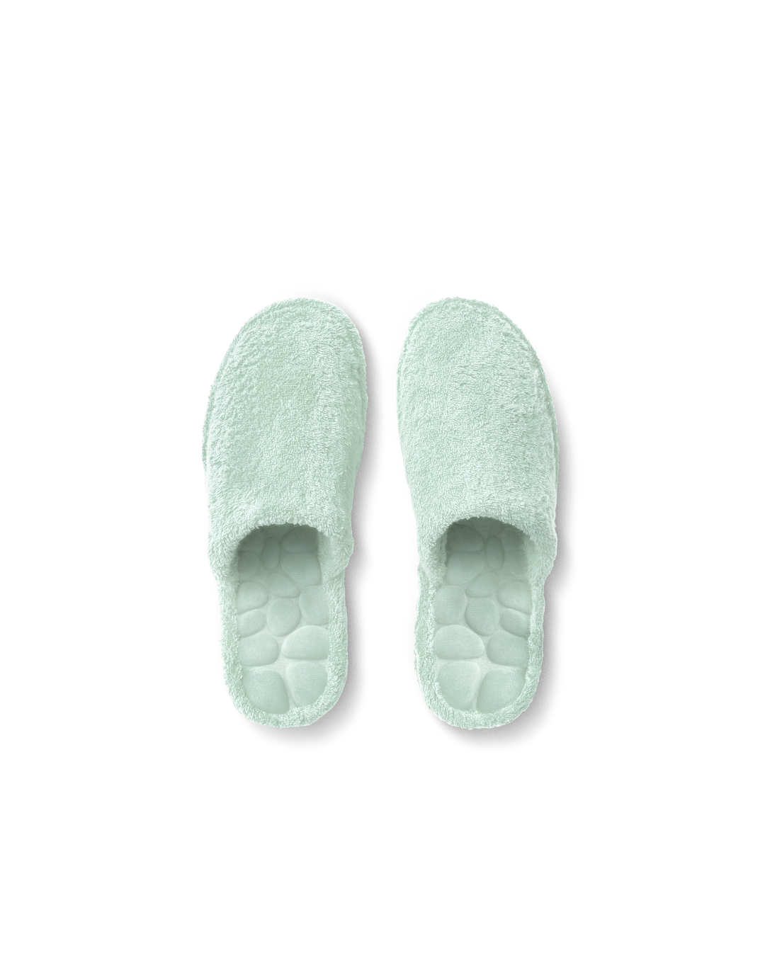 #couleur_Vert Céladon