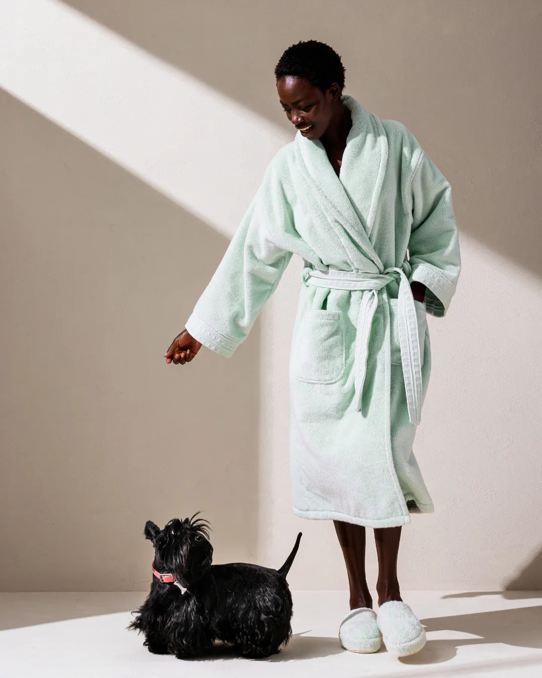 #couleur_Vert Céladon