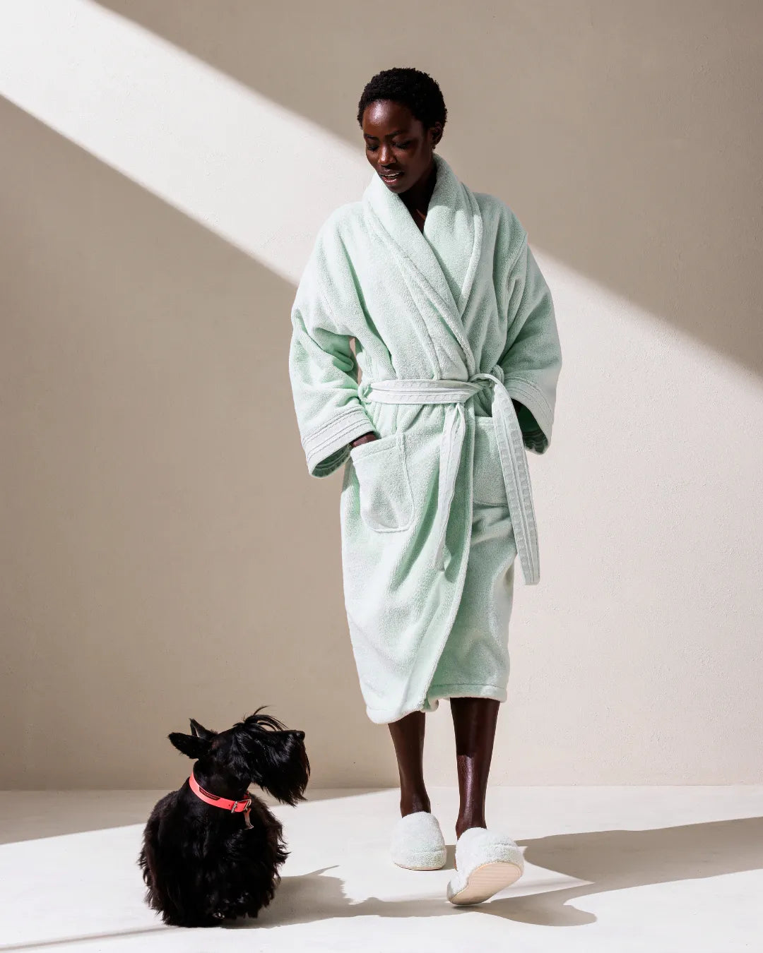 #couleur_Vert Céladon