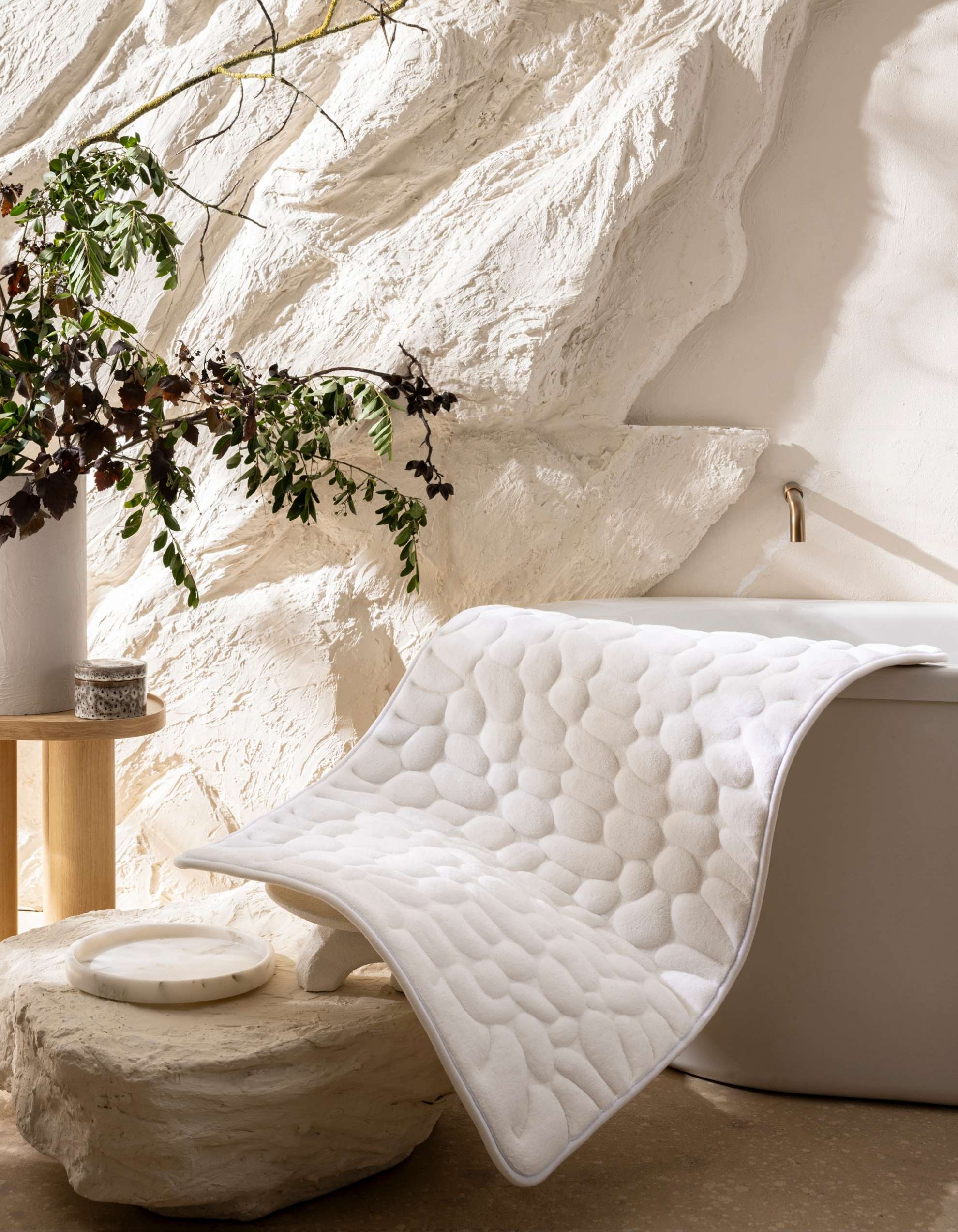 #couleur_Blanc Neige