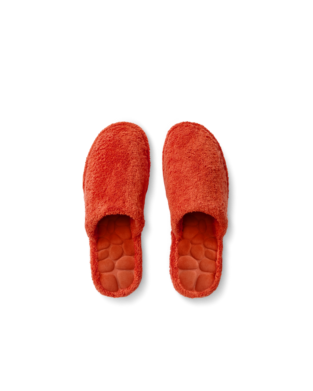 #couleur_Terre de Sienne