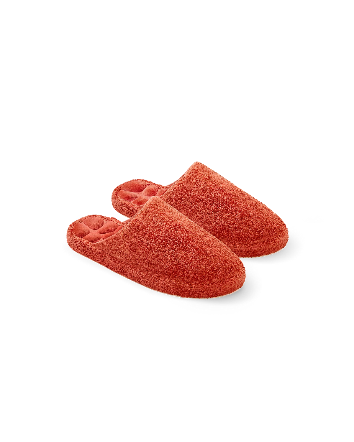 #couleur_Terre de Sienne