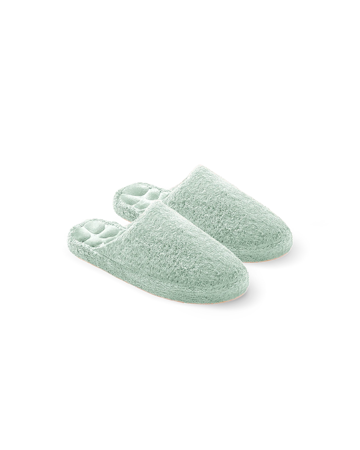 #couleur_Vert Céladon