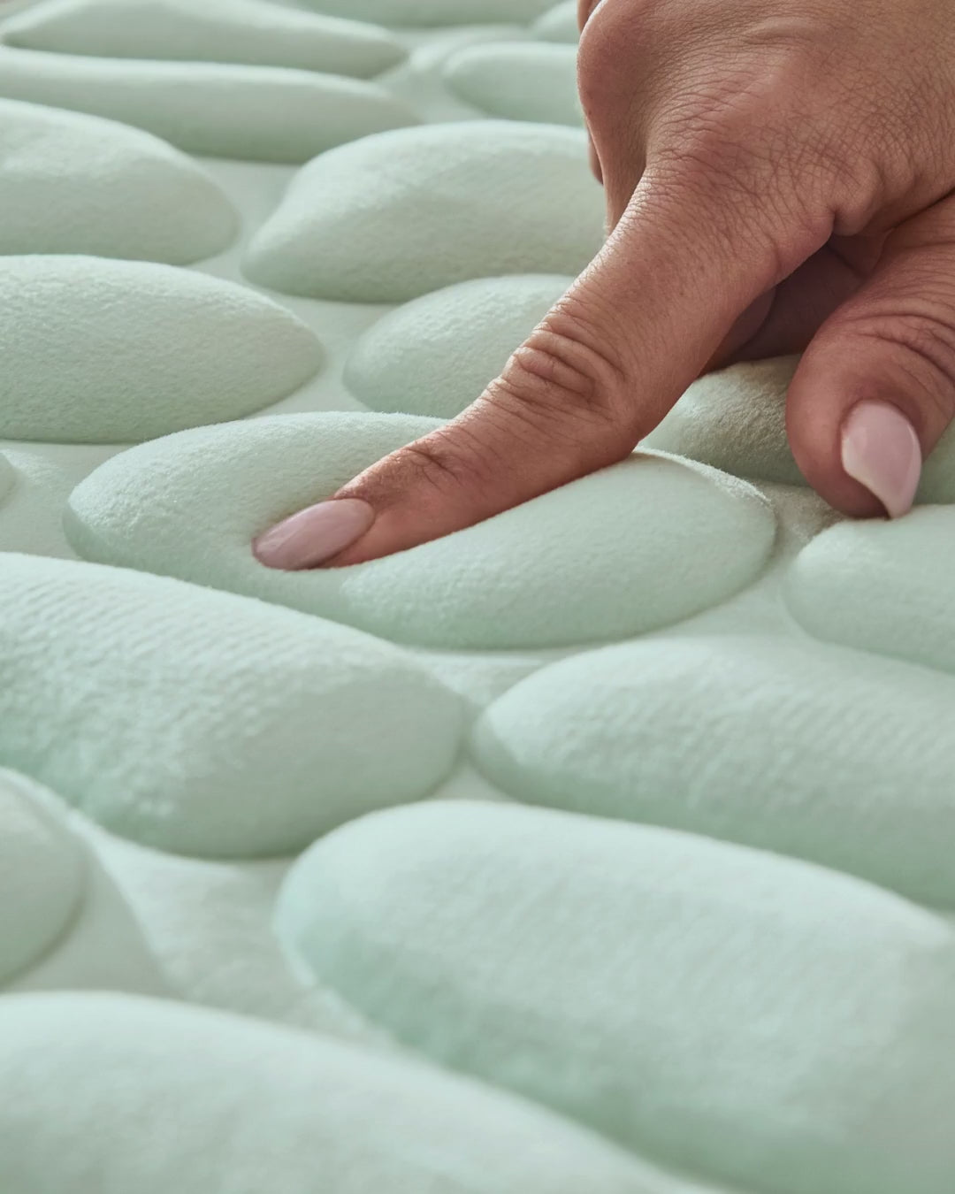  #couleur_Vert Céladon